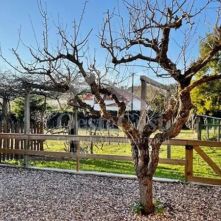 Villas Arneiro I Willa *