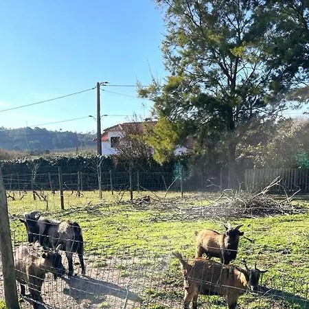 Villas Arneiro I *